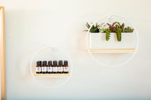 Plant on shelf and essential oils on shelf